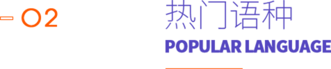 ib培训课程